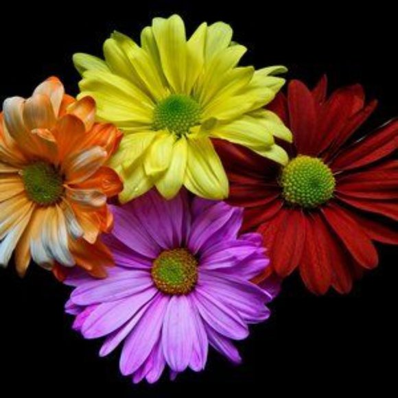 Silpada Starlight set - Picture 8 of 14